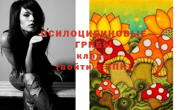 spice Абинск