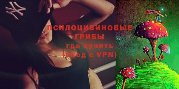 spice Абинск