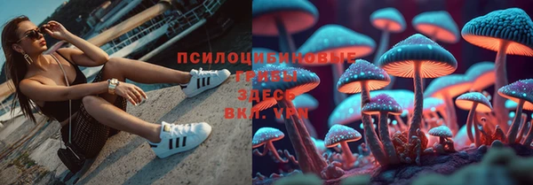 spice Абинск